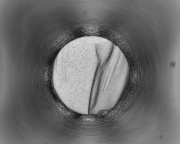 X0000098220658200805151318