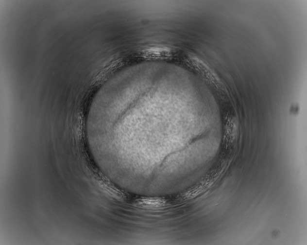 X0000098220659200805151318