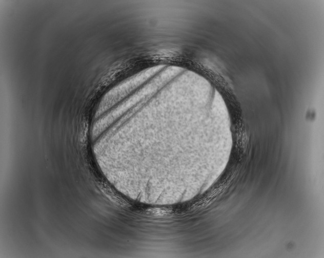 X0000098220660200805151318