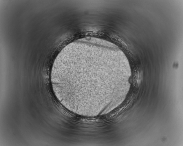 X0000098220661200805151318