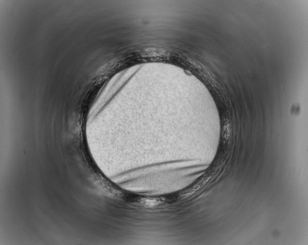 X0000098220662200805151318