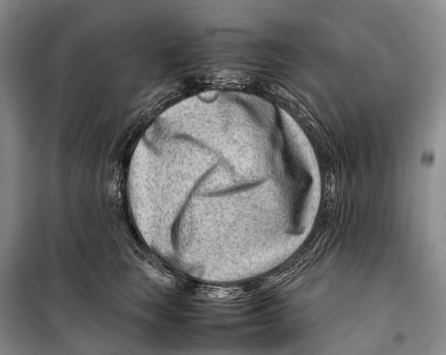 X0000098220663200805151318