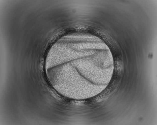 X0000098220664200805151318