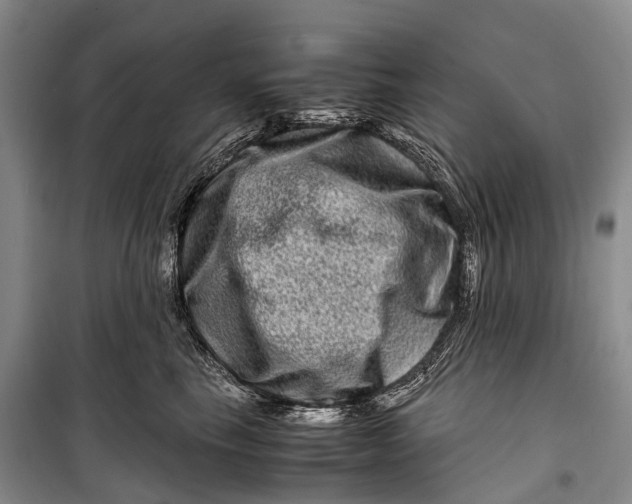 X0000098220665200805151318