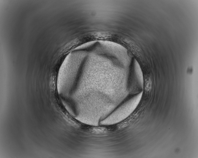 X0000098220666200805151318