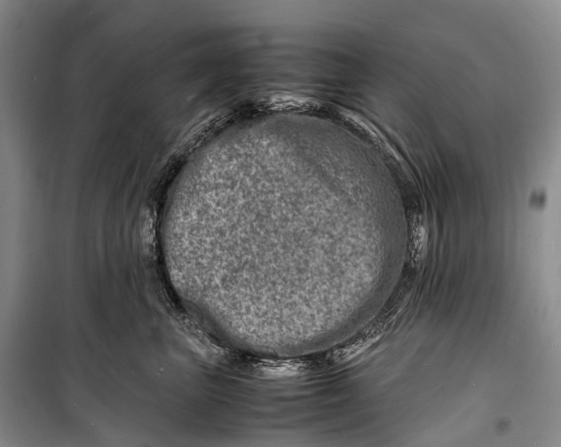 X0000098220667200805151318