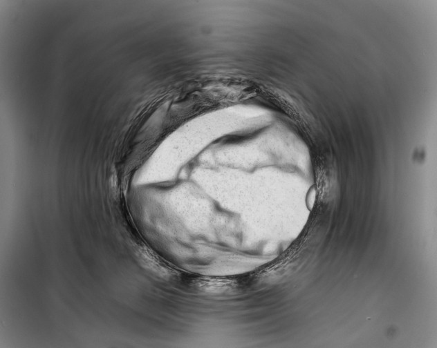 X0000098220670200805151319