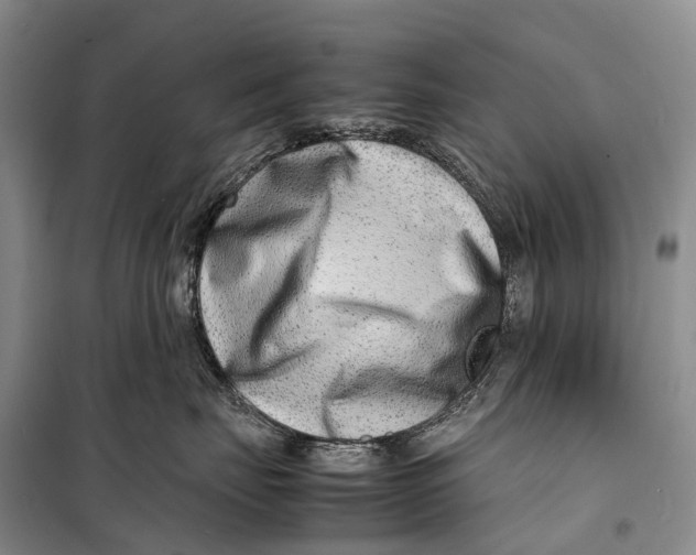 X0000098220671200805151319