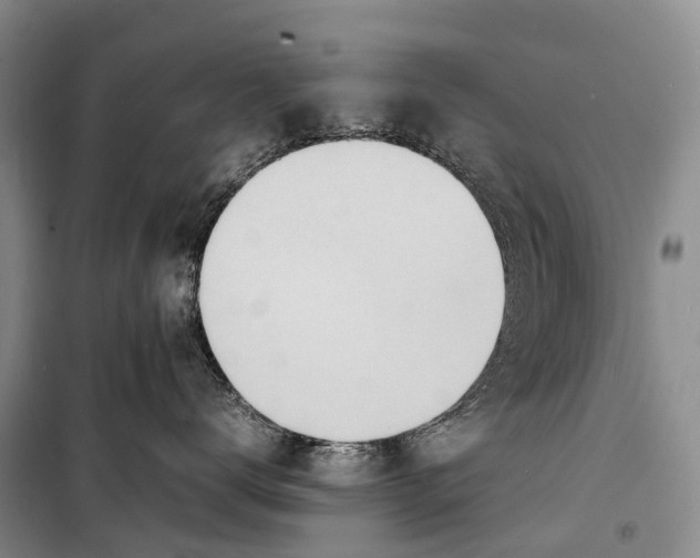 X0000098220672200805151319