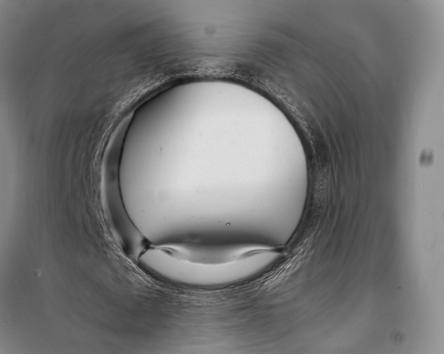 X0000098220673200805151318