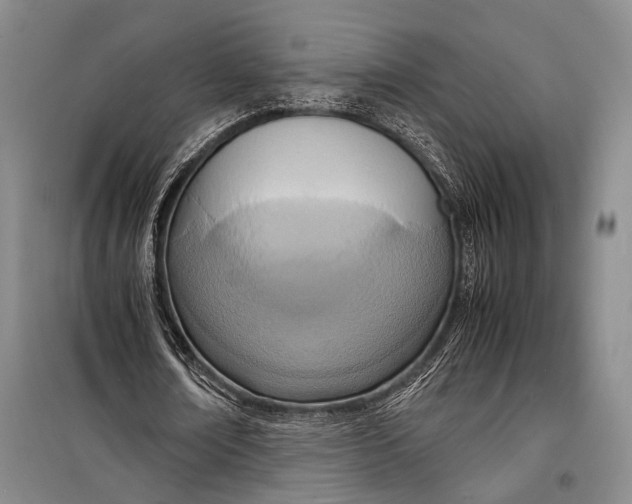 X0000098220674200805151318