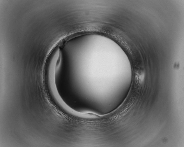 X0000098220676200805151318