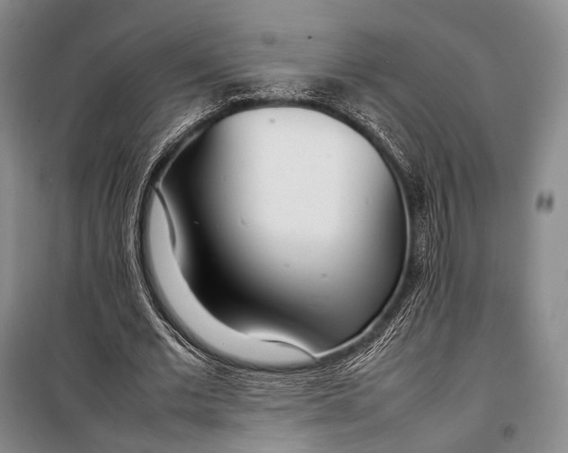 X0000098220677200805151318