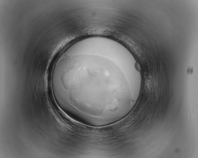 X0000098220678200805151318