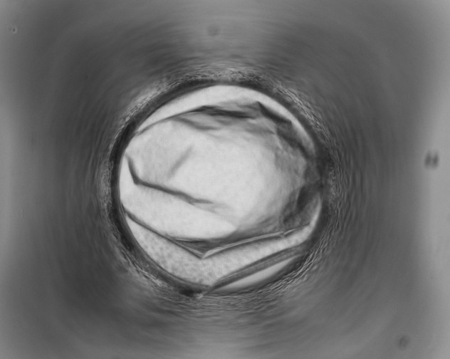 X0000098220679200805151318