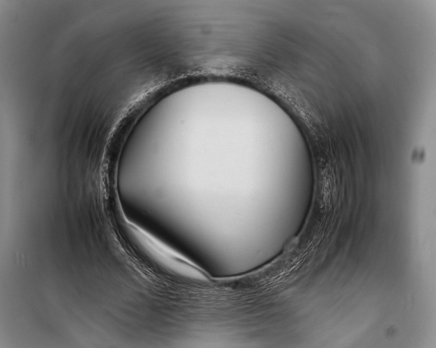 X0000098220680200805151318