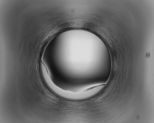 X0000098220681200805151318