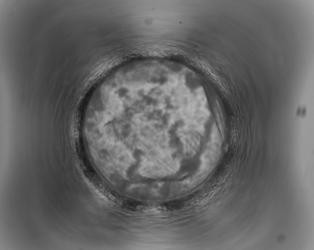 X0000098220683200805151318