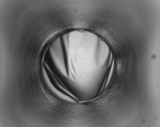 X0000098220684200805151318