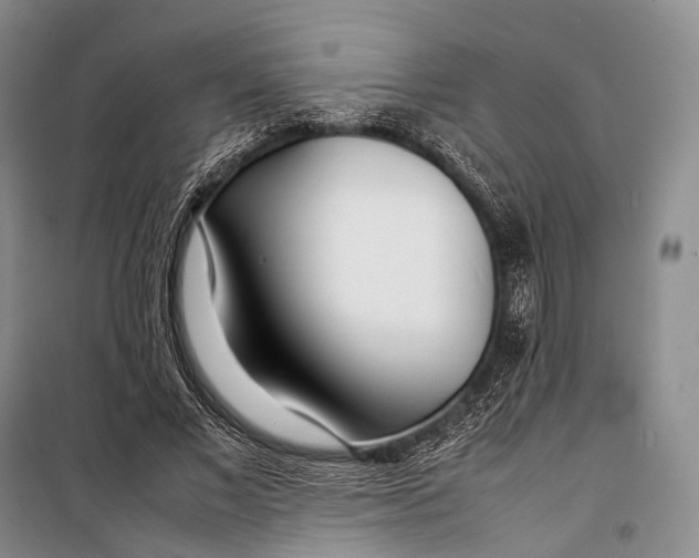 X0000098220685200805151318