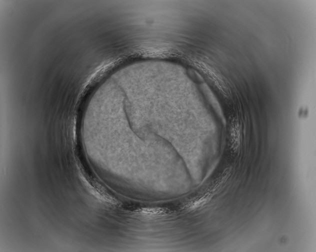 X0000098220686200805151318