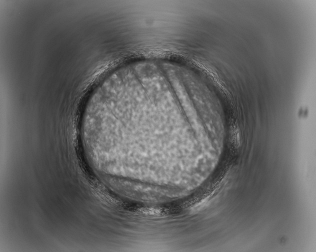 X0000098220687200805151318