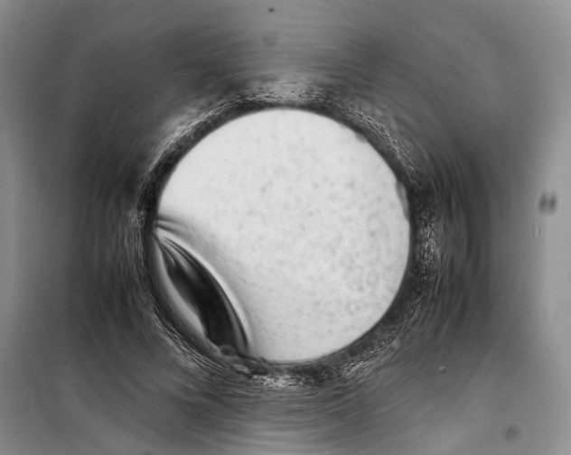 X0000098220688200805151318