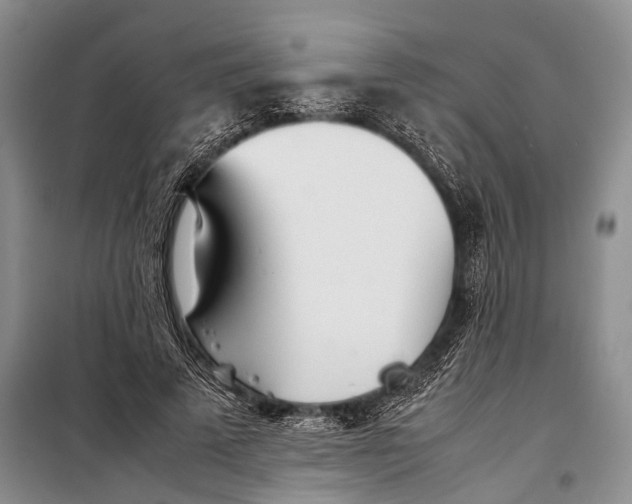 X0000098220689200805151318