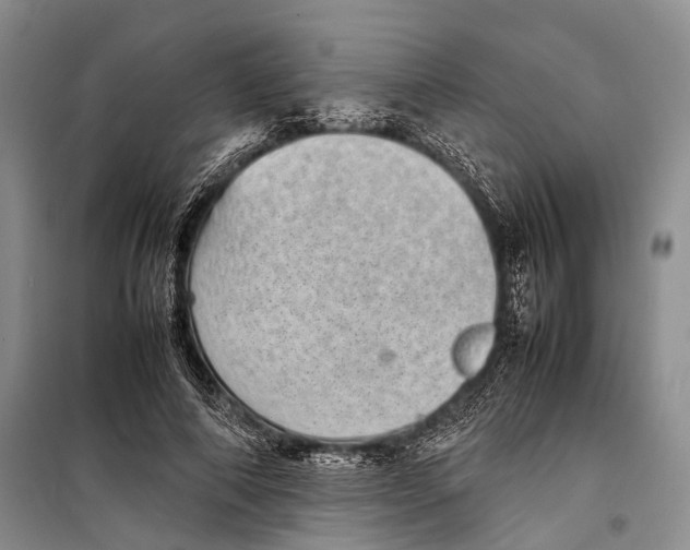 X0000098220690200805151318