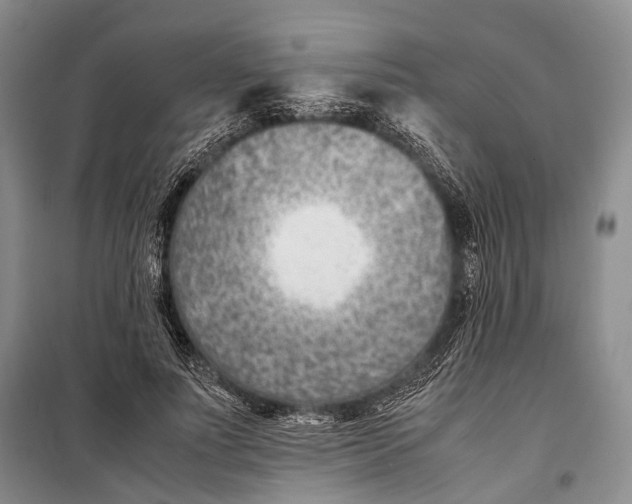 X0000098220691200805151318