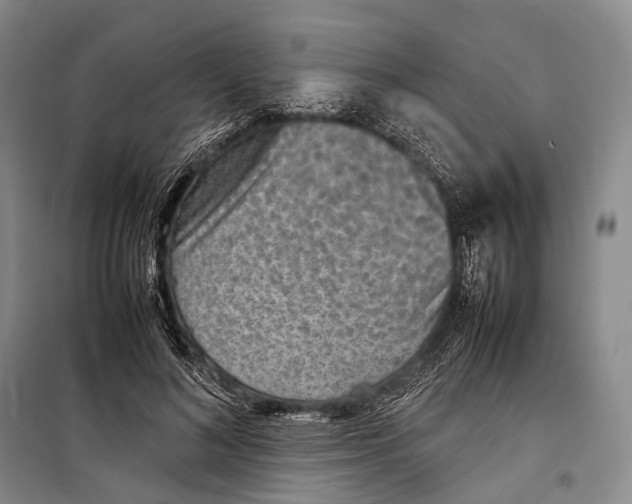 X0000098220692200805151318