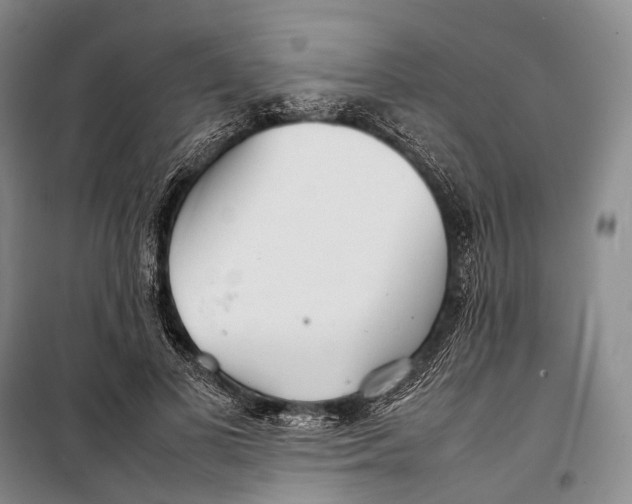 X0000098220693200805151318