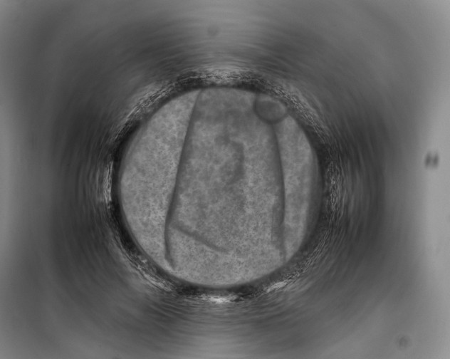 X0000098220694200805151318