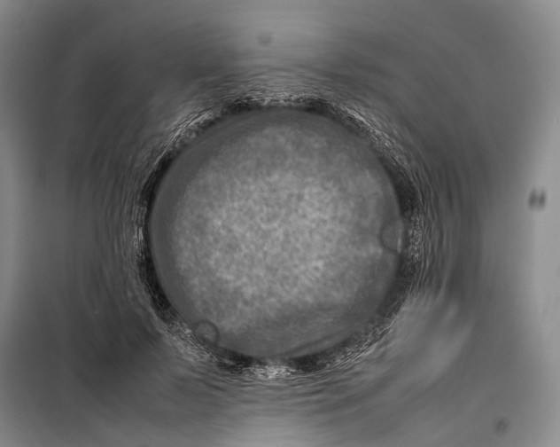 X0000098220695200805151318