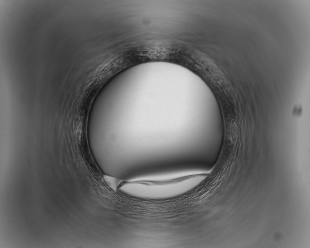 X0000098220697200805151317