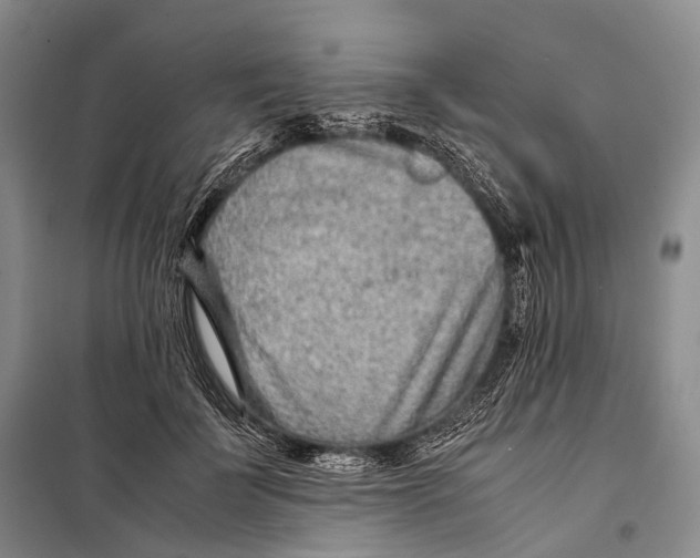 X0000098220699200805151317