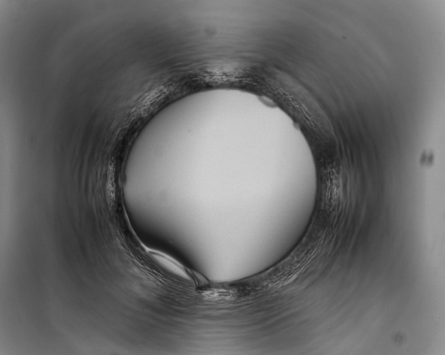 X0000098220700200805151317