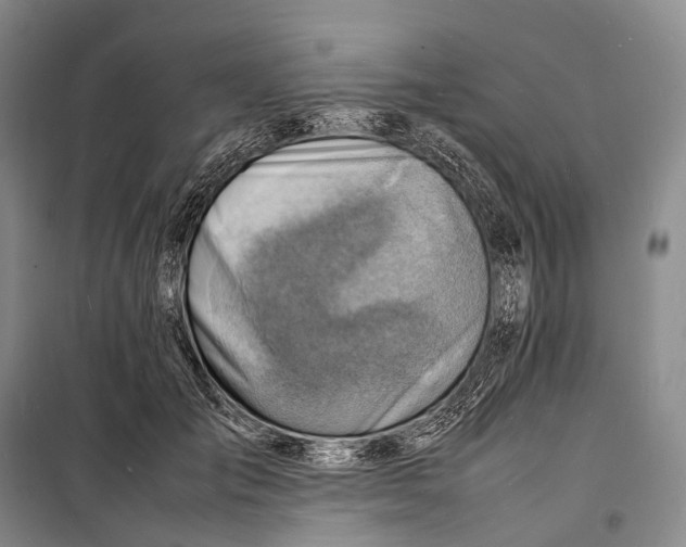 X0000098220701200805151317