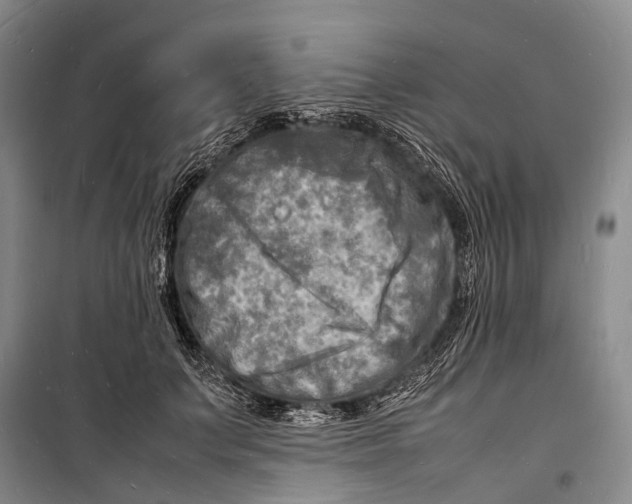 X0000098220703200805151317