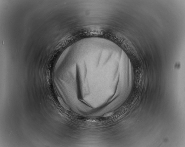 X0000098220704200805151317