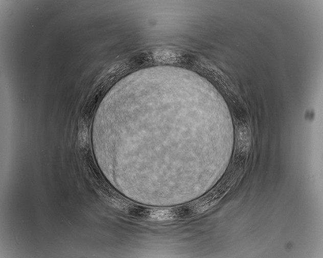 X0000098220705200805151317