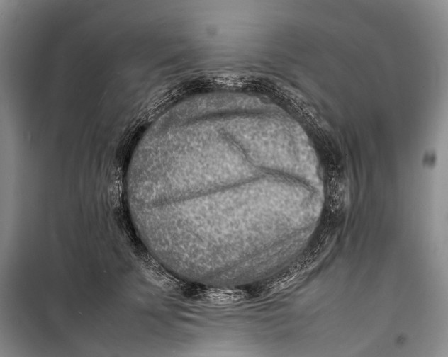 X0000098220707200805151317