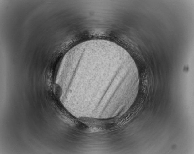 X0000098220708200805151317