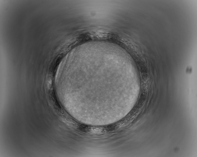 X0000098220709200805151317