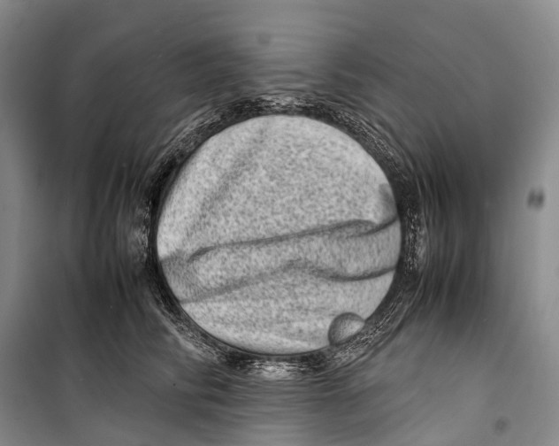 X0000098220710200805151317