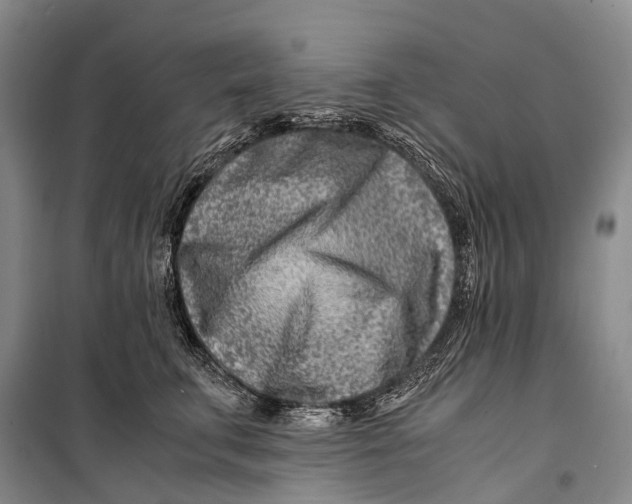 X0000098220711200805151317