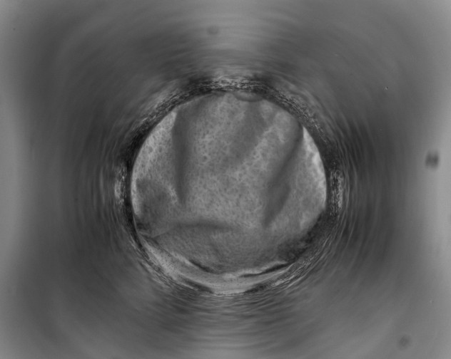 X0000098220712200805151317