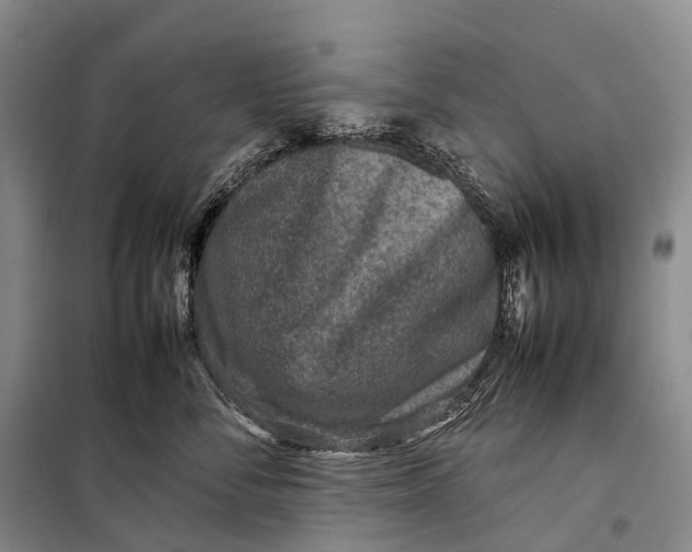 X0000098220716200805151317