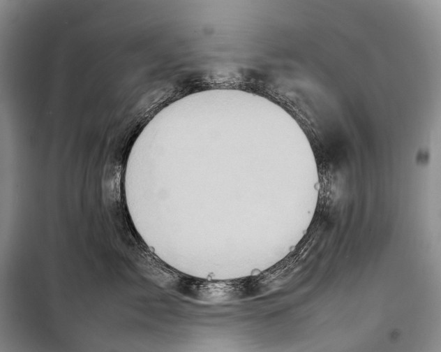 X0000098220717200805151317