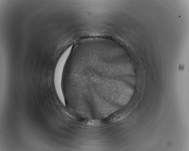 X0000098220720200805151317